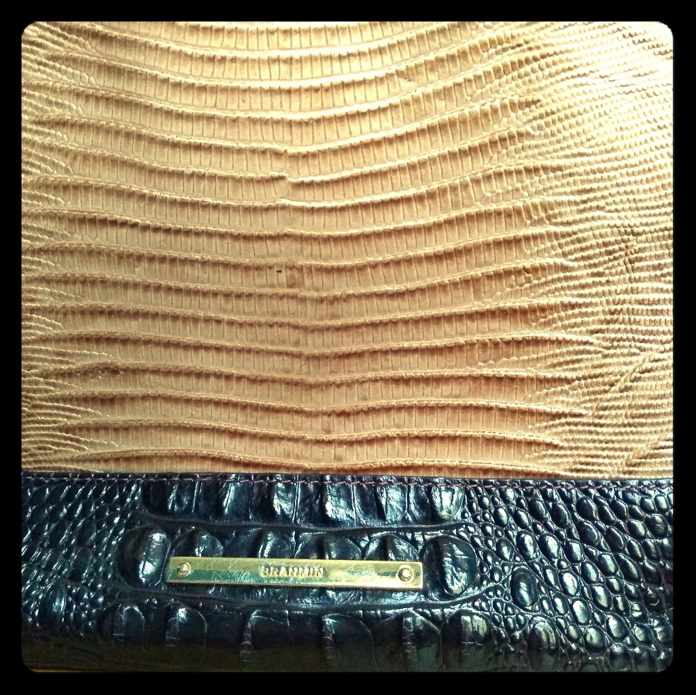 Brahmin over the shoulder bag